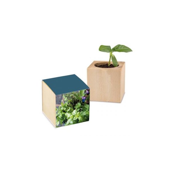 Pflanz-Holz Standardpapier inkl. 1 Seite gelasert - Kräutermischung