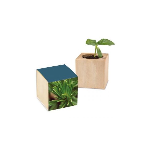 Pflanz-Holz Standardpapier inkl. 2 Seiten gelasert - Fichte