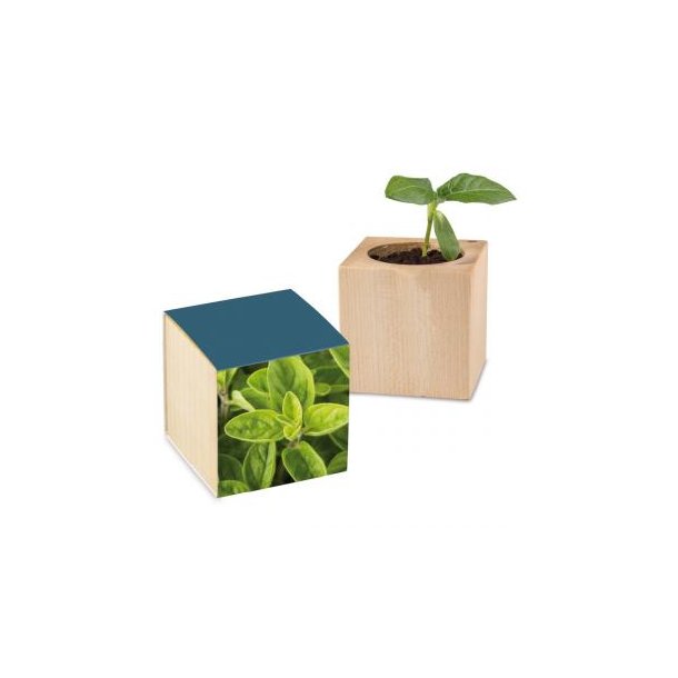 Pflanz-Holz Standardpapier inkl. 2 Seiten gelasert - Majoran