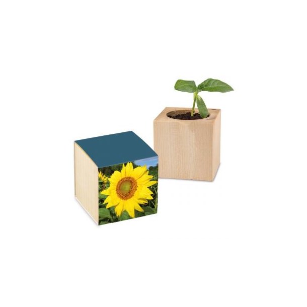 Pflanz-Holz Standardpapier inkl. 2 Seiten gelasert - Sonnenblume
