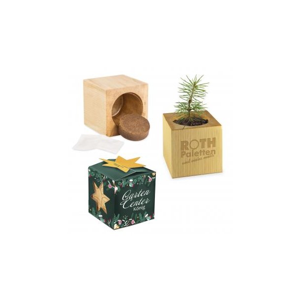 Pflanz-Holz Star-Box Xmas - Fichte, 2 Seiten gelasert