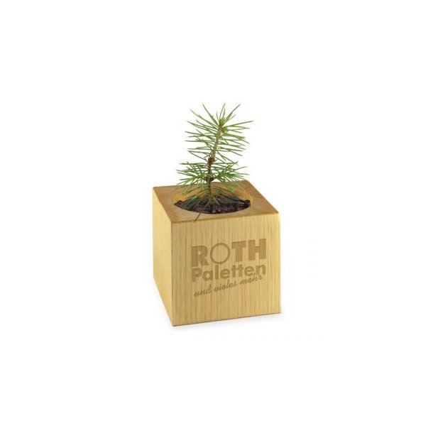 Pflanz-Holz - Standardmotiv - Frohe Weihnachten - 2 Seiten gelasert
