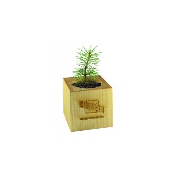 Pflanz-Holz Weihnachten - Standardmotiv inkl. inkl. 1 Seite gelasert