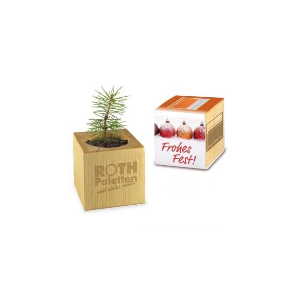 Pflanz-Holz Xmas Maxi inkl. 1 Seite gelasert