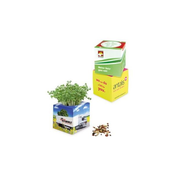 Pflanz-Würfel