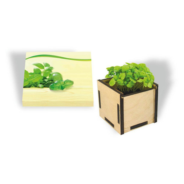 Pflanzsteckbox Green