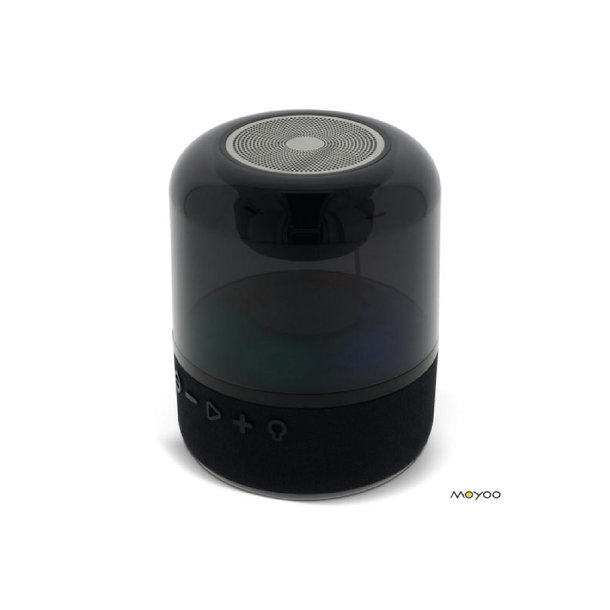 SP101 | Moyoo Smokey Dome speaker