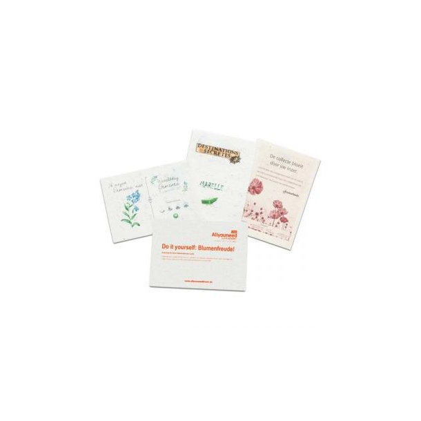 Samenpapier DIN A6 - 10 5 x 14,8 cm - Postkarte - Thymian 4/4-c
