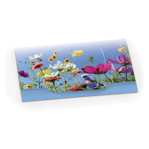 Samenpapier - Standardmotiv - Raupe Wanda