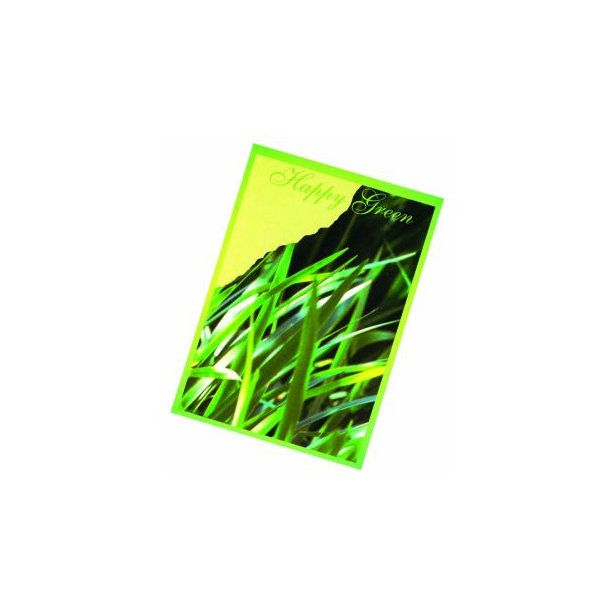 Samentütchen Happy Green 82 x 114 mm