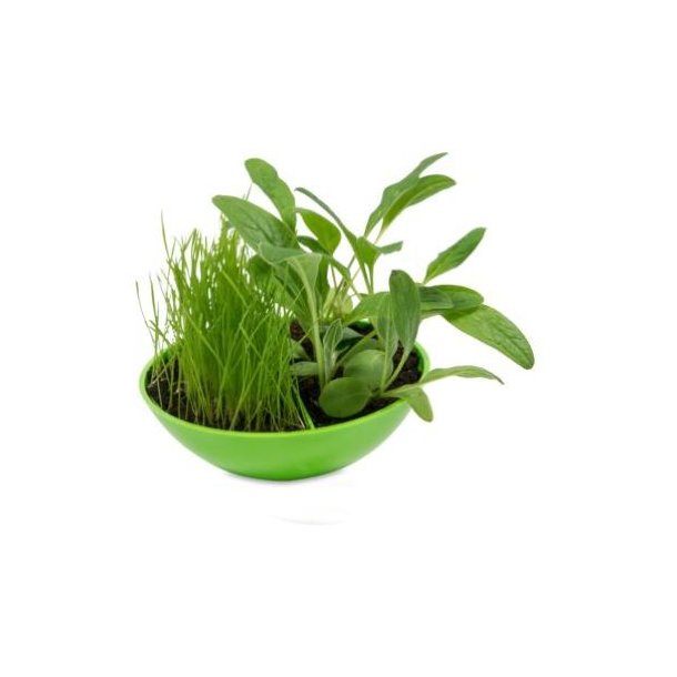 Schaukelschale mit Steg gruen