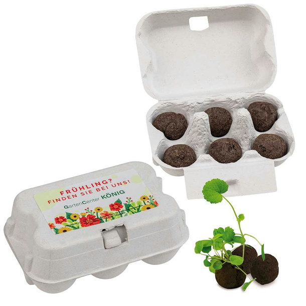 Sixpack - Flower-Balls Midi mit Samen mit Samen