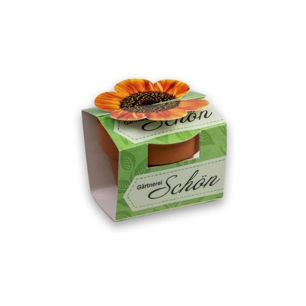 Tontöpfchen-Blume - Glücksklee-Zwiebeln inkl. Tampondruck