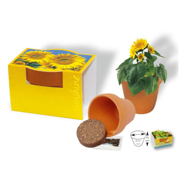 Tontöpfchen Sonne