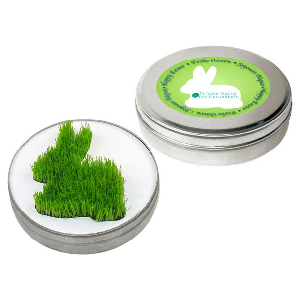 Wachsender Hase aus der Dose