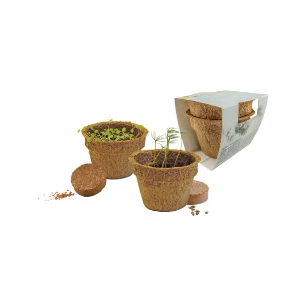 Weihnachtsduo Eco