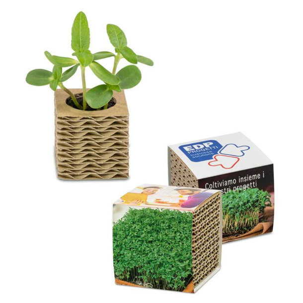 Wellkarton-Pflanzwürfel Mini mit Samen - Gartenkresse