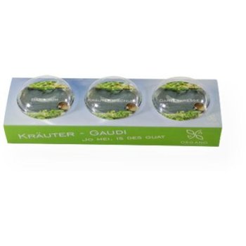 3er-Set Mini-Gewächshaus