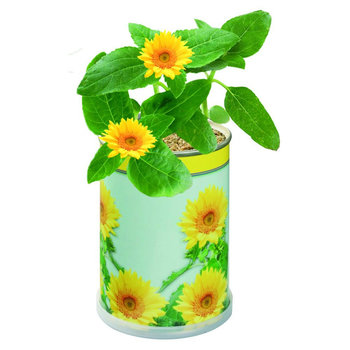 Blumendose Sonne 