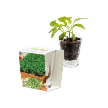 Caffeino-Glas - Gartenkresse