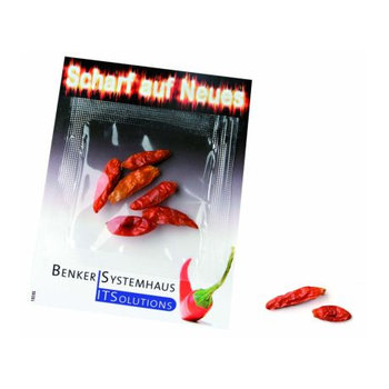 Chili Kärtchen 