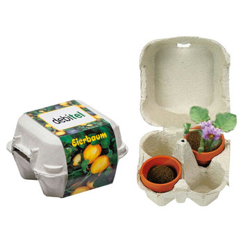 Eierbaum-Box