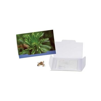 Flower-Card - Fichte