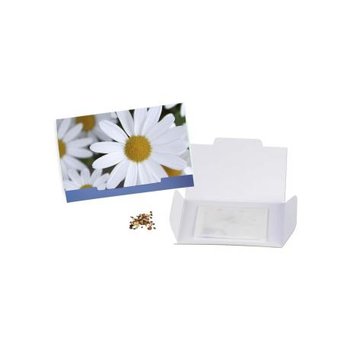 Flower-Card - Margerite