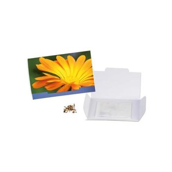 Flower-Card - Ringelblume