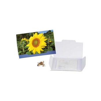 Flower-Card - Sonnenblume