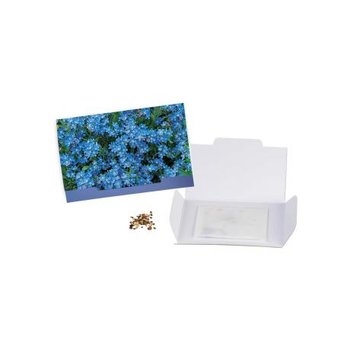Flower-Card - Vergissmeinnicht