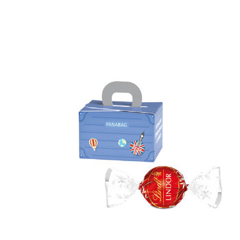 Geschenkbox Mini Koffer