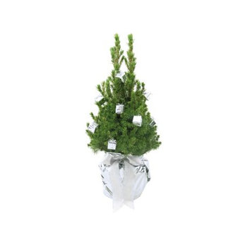 Geschenke-Bäumchen 35-45 cm