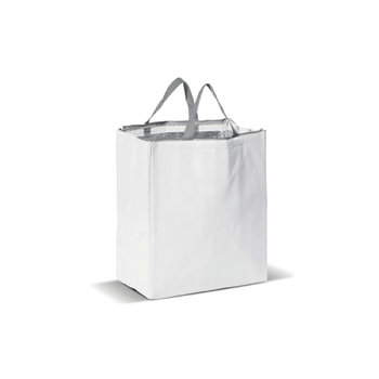 Große Kühltasche aus Non Woven 32.5 x 19.5 x 39 cm, 100 g/m²