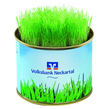 Grüne-Oase-Dose
