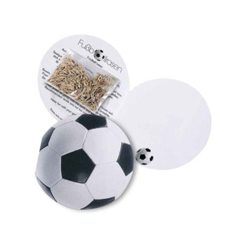 Klappkärtchen Fußball