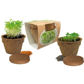 Kräuterduo Eco