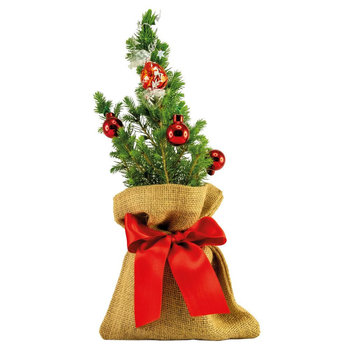 Kugelglanz-Bäumchen 20-30 cm 