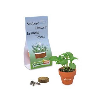 Logo-Töpfchen Übereichverpackung - Thymian