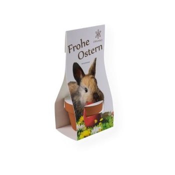 Logo-Toepfchen mit Überreichverpackung