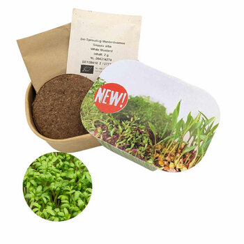 Microgreen Samen Pflanzset (klein) - Kresse