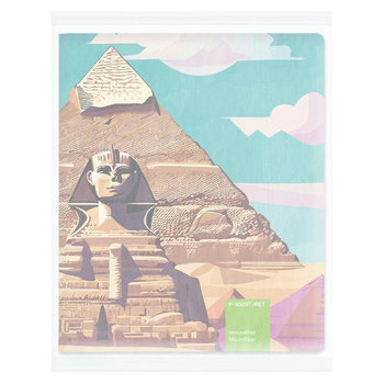 POLYCLEAN rPET Displaytuch 30x20 cm im Papieretui, All-Inclusive-Paket 