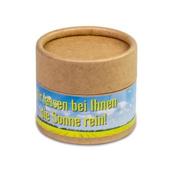Pflanz-Cup - Persischer Klee