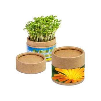Pflanz-Cup - Ringelblume