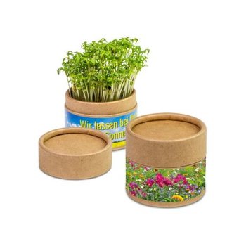 Pflanz-Cup - Sommerblumen