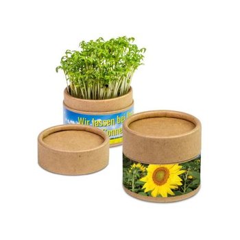 Pflanz-Cup - Sonnenblume