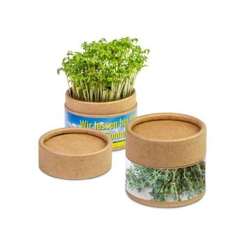 Pflanz-Cup - Thymian