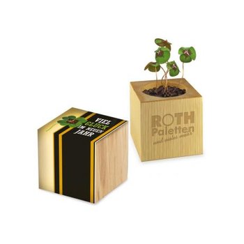Pflanz-Holz Glücksklee - Standardmotiv inkl. 2 Seiten gelasert