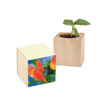 Pflanz-Holz Graspapier - Gewürzpaprike