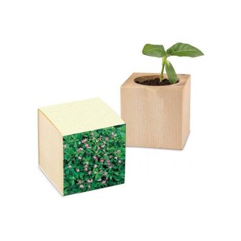 Pflanz-Holz Graspapier - Persischer Klee